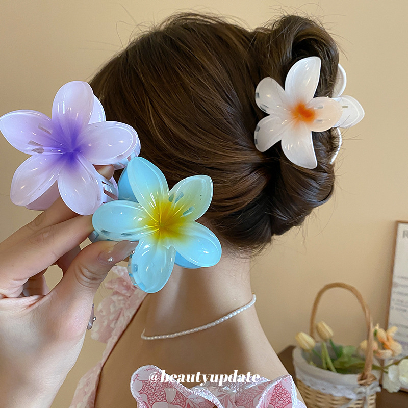 Crystal Flower Acrylic Hair Cl - Travel Accessories Hong Kong avaliação e preço