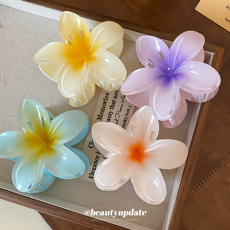 Crystal Flower Acrylic Hair Cl - Travel Accessories Hong Kong avaliação e preço
