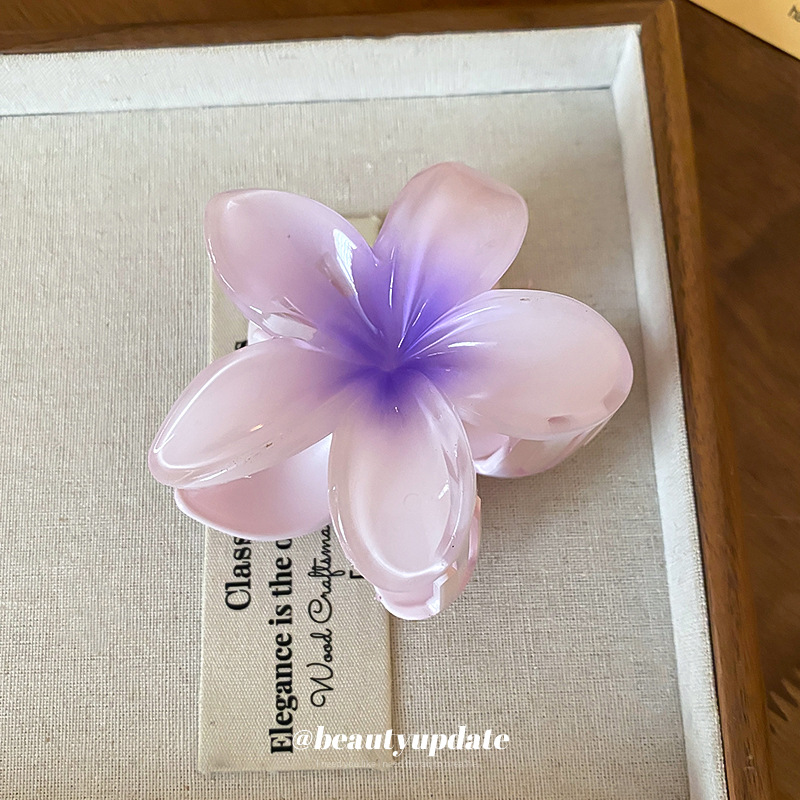 Crystal Flower Acrylic Hair Cl - Travel Accessories Hong Kong avaliação e preço