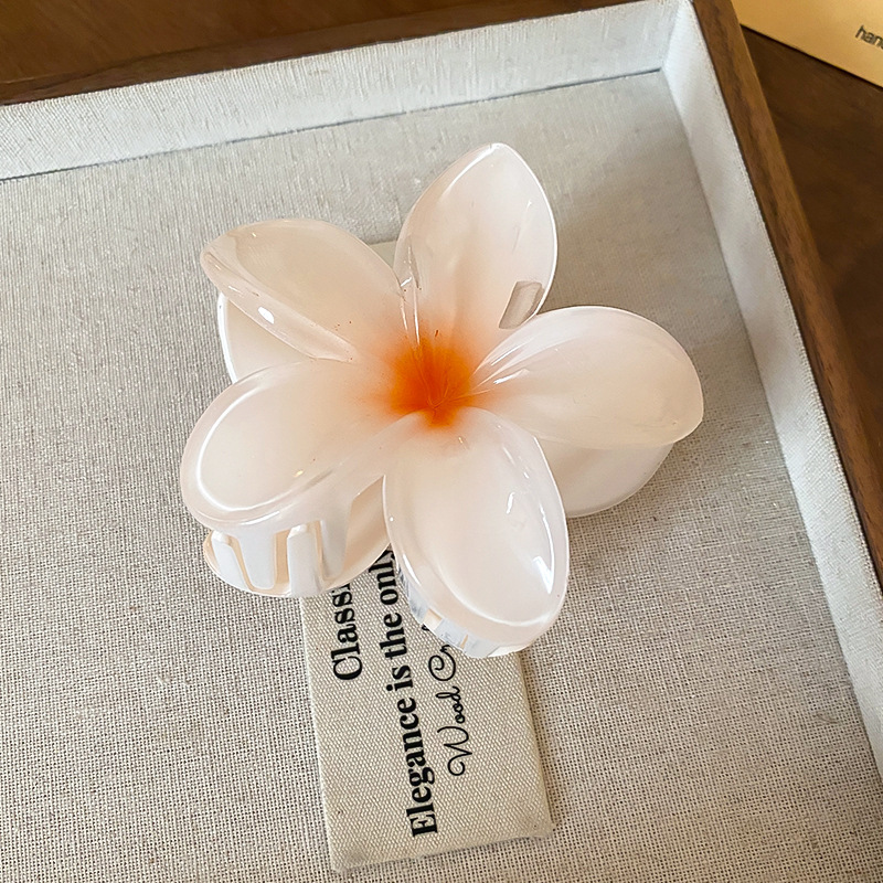 Crystal Flower Acrylic Hair Cl - Travel Accessories Hong Kong avaliação e preço